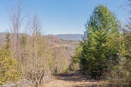 Recreational Property in Washington County, Virginia