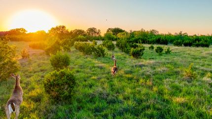 Recreational Property for sale in Lampasas County, Texas