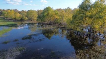 Land in Dallas County, Texas