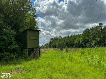 Recreational Property in Washington County, Alabama