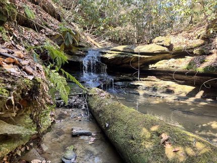Farm and Ranch in Wolfe County, Kentucky