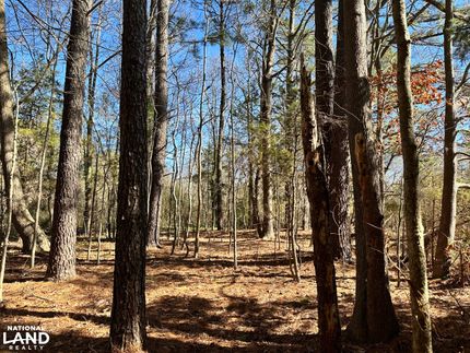 Undeveloped Land in Lancaster County, Virginia