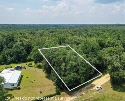 Undeveloped Land in Hamilton County, Florida