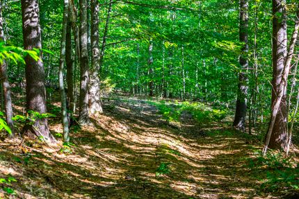 Undeveloped Land in Windsor County, Vermont