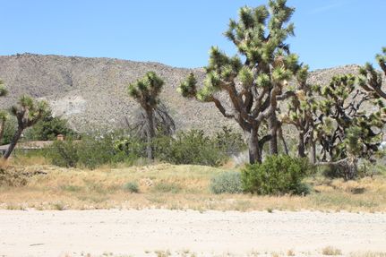 Farm and Ranch in San Bernardino County, California