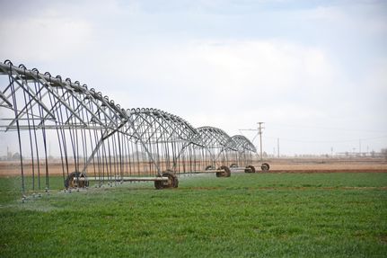Farm and Ranch in Bailey County, Texas