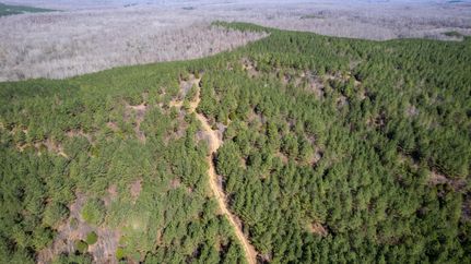 Undeveloped Land in Perry County, Tennessee