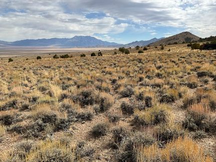 Undeveloped Land in Elko County, Nevada