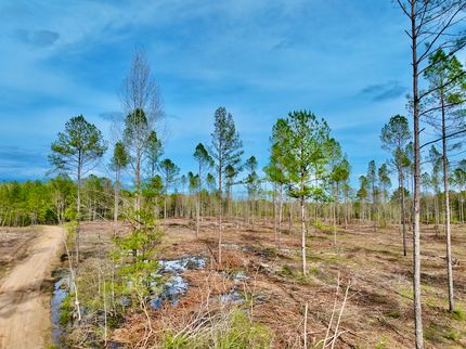 Recreational Property in Marion County, Mississippi