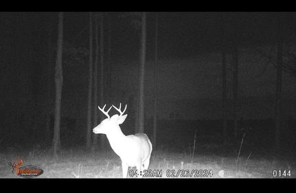 Hunting Property in Washington County, Alabama