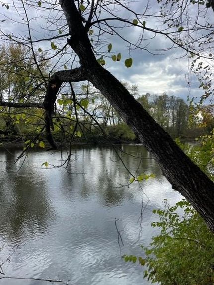 Undeveloped Land in Chenango County, New York