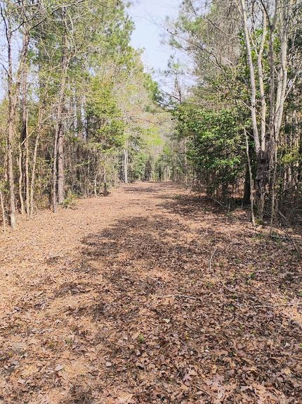 Recreational Property in Union Parish, Louisiana