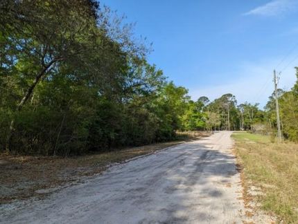 Undeveloped Land in Suwannee County, Florida