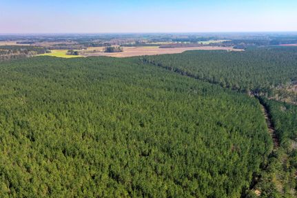 Farm and Ranch in Williamsburg County, South Carolina