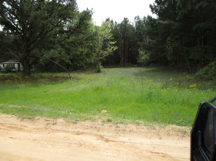Undeveloped Land in Houston County, Texas