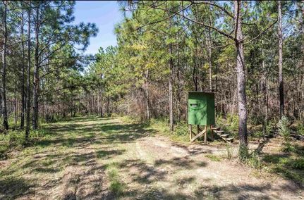 Timberland Property in Escambia County, Florida