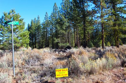 Undeveloped Land in Modoc County, California