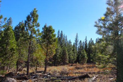 Undeveloped Land in Modoc County, California