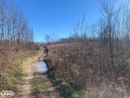 Timberland Property in Breckinridge County, Kentucky