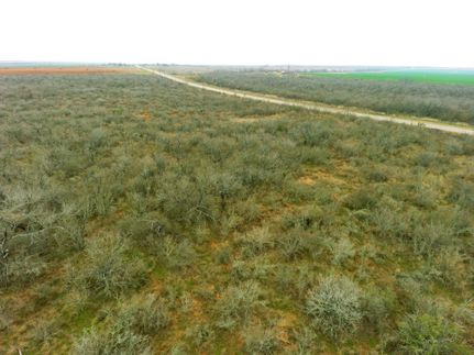 Farm and Ranch in Frio County, Texas