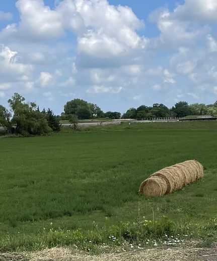 Farm and Ranch in Madison County, Nebraska