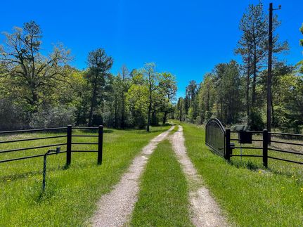 Undeveloped Land in Walker County, Texas