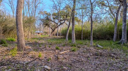 Undeveloped Land in Brazos County, Texas