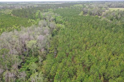 Hunting Property in Madison County, Florida