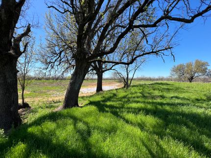 Hunting Property in Stephens County, Texas