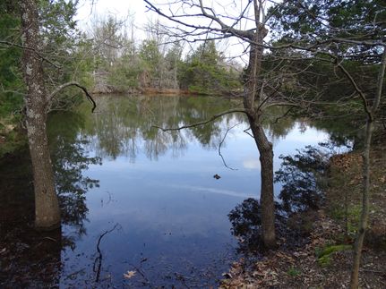 Undeveloped Land in Marion County, Arkansas