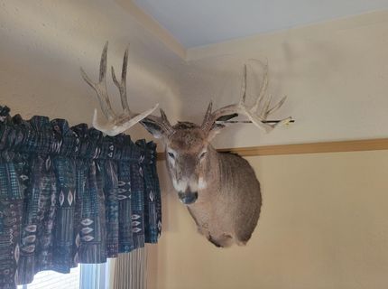 Farm and Ranch in Vernon County, Wisconsin