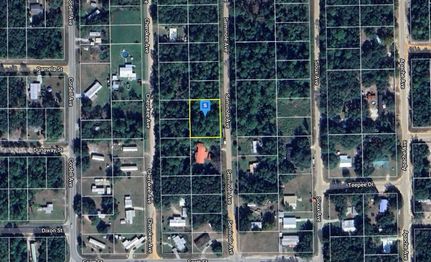 Undeveloped Land in Putnam County, Florida