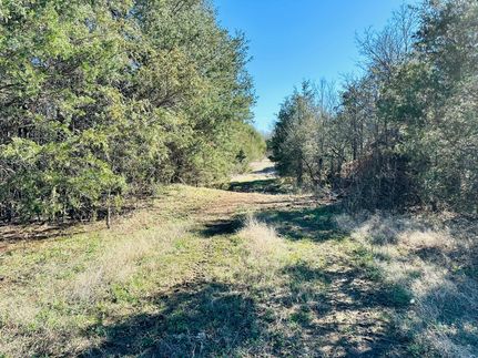 Hunting Property in Izard County, Arkansas