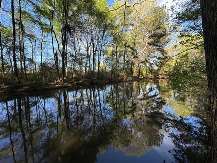 Undeveloped Land in Bowie County, Texas