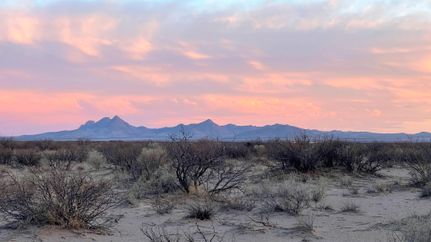 Undeveloped Land in Luna County, New Mexico