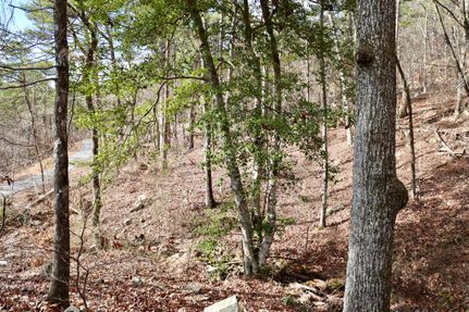 Undeveloped Land in Le Flore County, Oklahoma