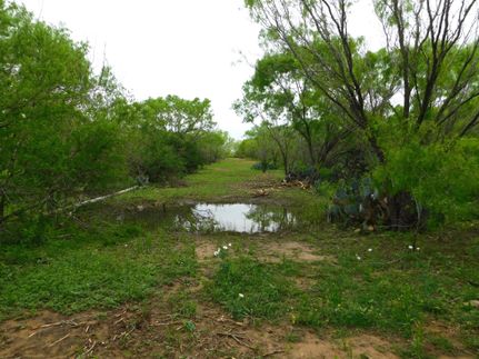 Farm and Ranch in Frio County, Texas