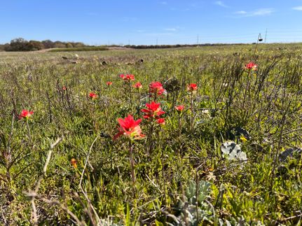 Recreational Property in Eastland County, Texas