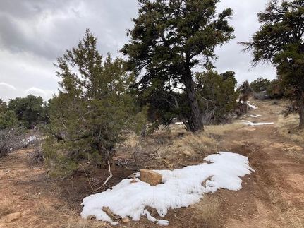 Undeveloped Land in Duchesne County, Utah