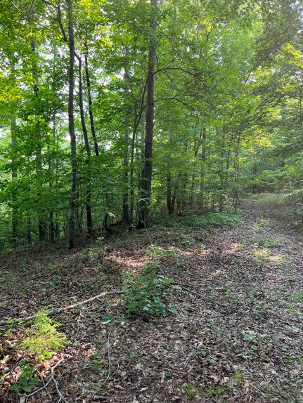 Farm and Ranch for sale in DeKalb County, Tennessee