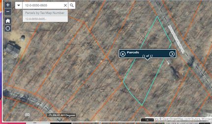 Undeveloped Land in Wayne County, Pennsylvania
