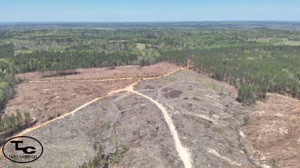 Undeveloped Land in Hale County, Alabama