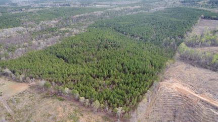 Farm and Ranch in Webster County, Mississippi