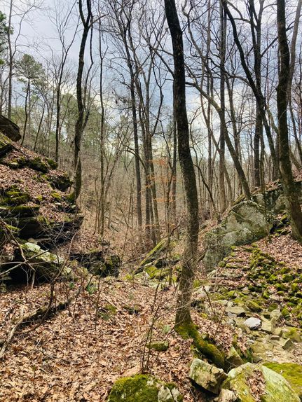 Undeveloped Land in Izard County, Arkansas