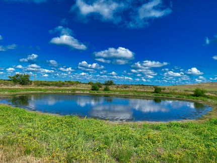 Timberland Property in Williamson County, Texas