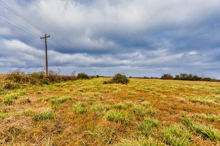 Farm and Ranch in Colorado County, Texas
