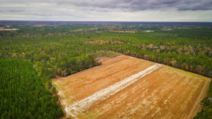 Timberland Property in Horry County, South Carolina
