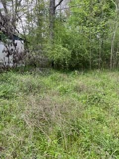Timberland Property in Crenshaw County, Alabama