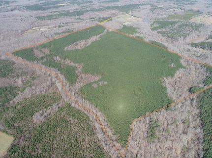 Undeveloped Land in Halifax County, Virginia