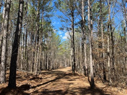 Undeveloped Land in Franklin County, Alabama